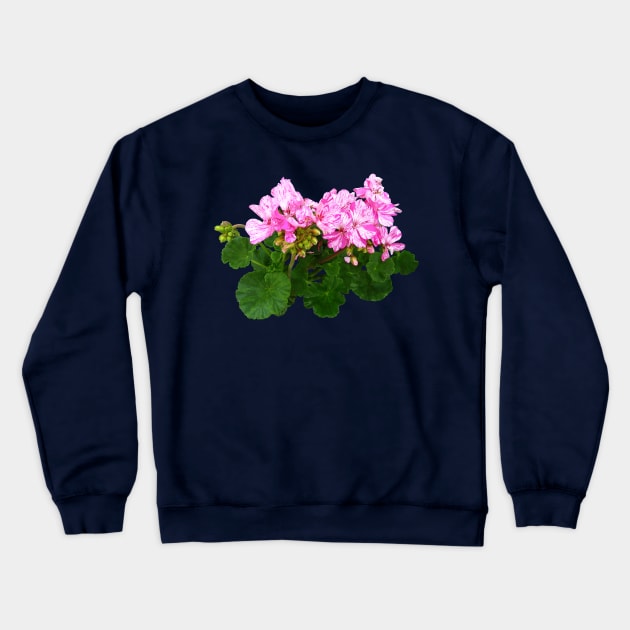 Pink and White Striped Geraniums Crewneck Sweatshirt by SusanSavad